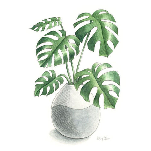 Potted Exotics II Black Modern Wood Framed Art Print by Wilson, Kelsey