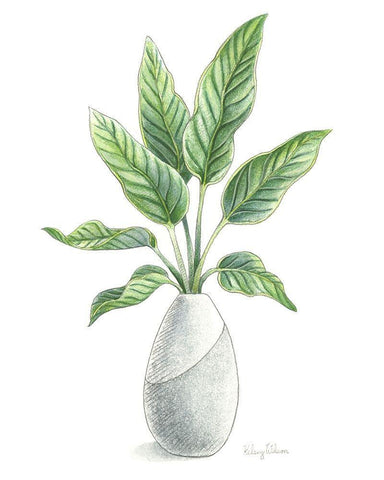 Potted Exotics IV White Modern Wood Framed Art Print with Double Matting by Wilson, Kelsey