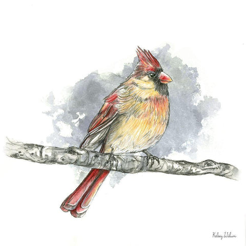 Birds And Branches II-Female Cardinal Black Modern Wood Framed Art Print by Wilson, Kelsey