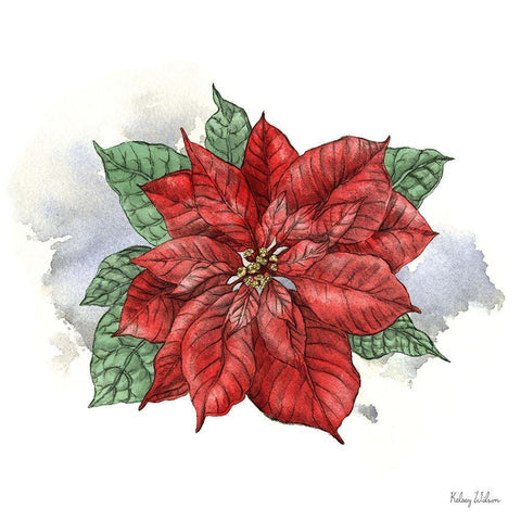 Winter Poinsetta I Black Ornate Wood Framed Art Print with Double Matting by Wilson, Kelsey