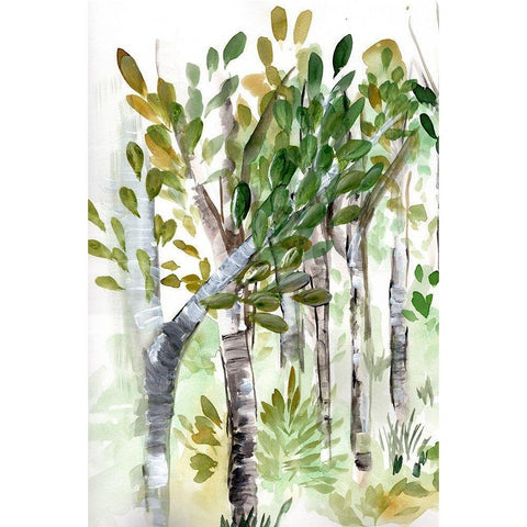 Birch Forest I White Modern Wood Framed Art Print by Chapman, Marcy