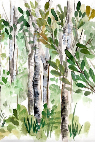 Birch Forest II Black Ornate Wood Framed Art Print with Double Matting by Chapman, Marcy