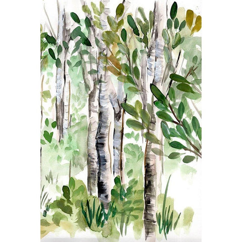 Birch Forest II Gold Ornate Wood Framed Art Print with Double Matting by Chapman, Marcy