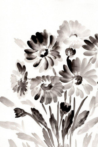 Simple Black Daisies White Modern Wood Framed Art Print with Double Matting by Chapman, Marcy