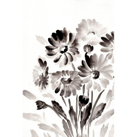Simple Black Daisies Black Modern Wood Framed Art Print with Double Matting by Chapman, Marcy