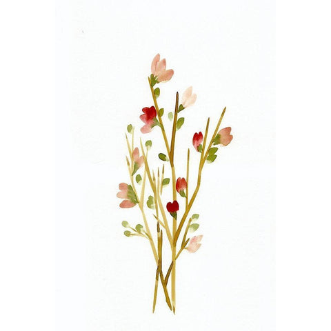 Golden Pink Blossoms White Modern Wood Framed Art Print by Chapman, Marcy