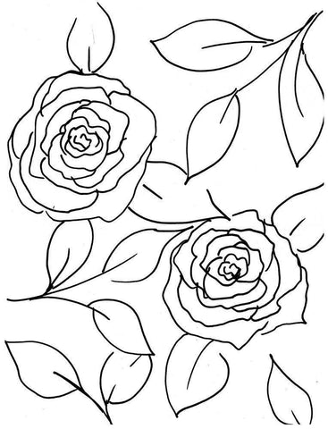 Hand Sketch Roses I White Modern Wood Framed Art Print with Double Matting by Chapman, Marcy
