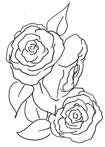 Hand Sketch Roses II White Modern Wood Framed Art Print with Double Matting by Chapman, Marcy