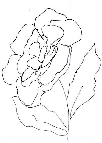 Hand Sketch Magnolia II Black Ornate Wood Framed Art Print with Double Matting by Chapman, Marcy