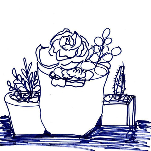 Hand Sketch Succulents blue White Modern Wood Framed Art Print by Chapman, Marcy