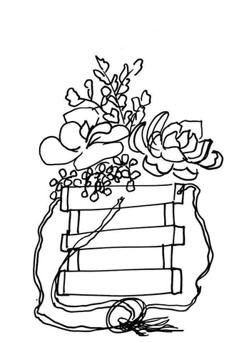 Hand Sketch Hanging Succulents black Black Ornate Wood Framed Art Print with Double Matting by Chapman, Marcy