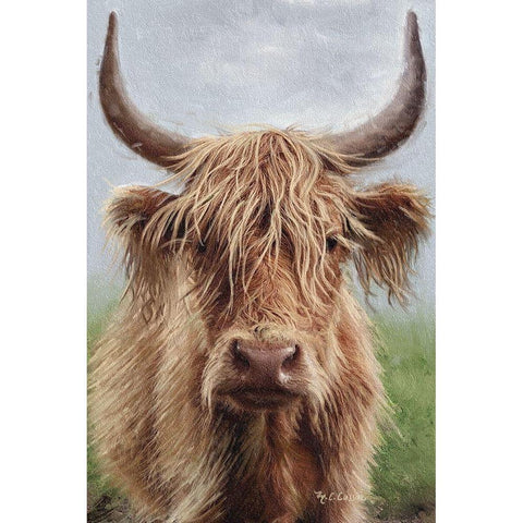 Highland portrait II Black Modern Wood Framed Art Print with Double Matting by Cusson, Marie Elaine