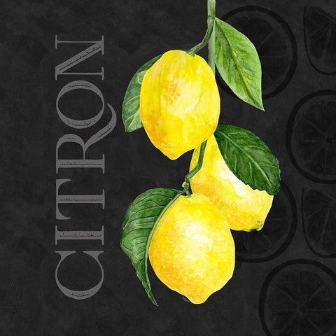 Live with Zest V Black Modern Wood Framed Art Print with Double Matting by Reed, Tara