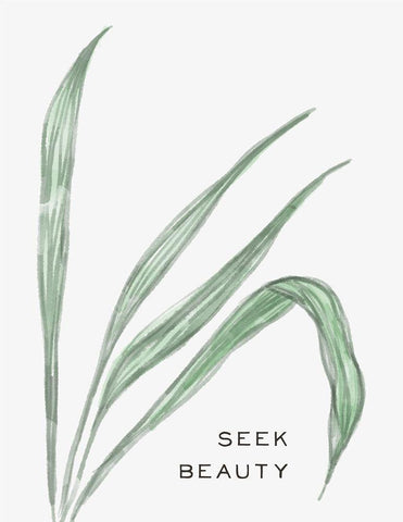 Serene Sentiment VII-Seek Beauty White Modern Wood Framed Art Print with Double Matting by HM Design
