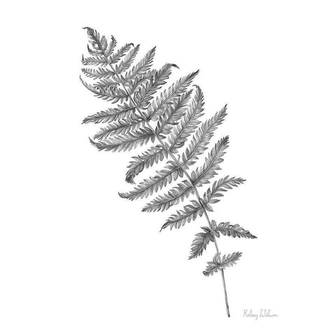 Neutral Fern I White Modern Wood Framed Art Print by Wilson, Kelsey