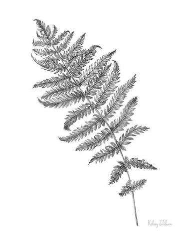 Neutral Fern I White Modern Wood Framed Art Print with Double Matting by Wilson, Kelsey