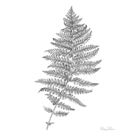 Neutral Fern II White Modern Wood Framed Art Print by Wilson, Kelsey