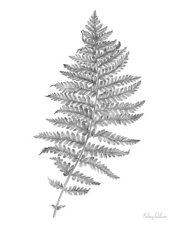 Neutral Fern II Black Ornate Wood Framed Art Print with Double Matting by Wilson, Kelsey