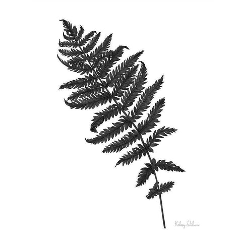 Neutral Fern black I Gold Ornate Wood Framed Art Print with Double Matting by Wilson, Kelsey