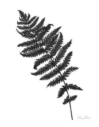 Neutral Fern black I White Modern Wood Framed Art Print with Double Matting by Wilson, Kelsey