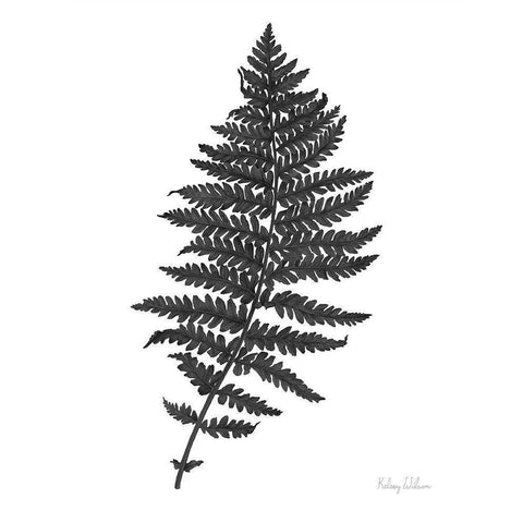 Neutral Fern black II Gold Ornate Wood Framed Art Print with Double Matting by Wilson, Kelsey