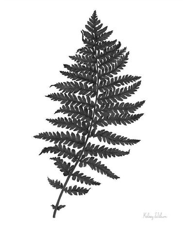 Neutral Fern black II White Modern Wood Framed Art Print with Double Matting by Wilson, Kelsey