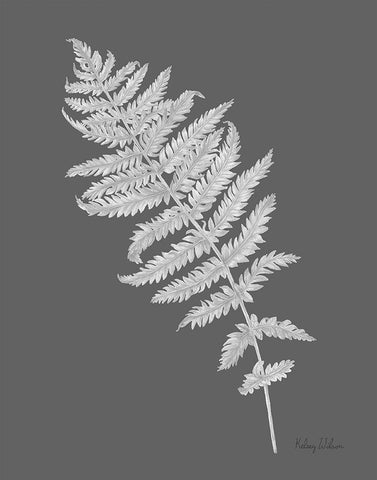 Neutral Fern on grey I White Modern Wood Framed Art Print with Double Matting by Wilson, Kelsey