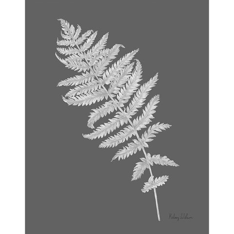 Neutral Fern on grey I White Modern Wood Framed Art Print by Wilson, Kelsey