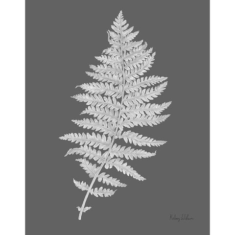 Neutral Fern on grey II Gold Ornate Wood Framed Art Print with Double Matting by Wilson, Kelsey