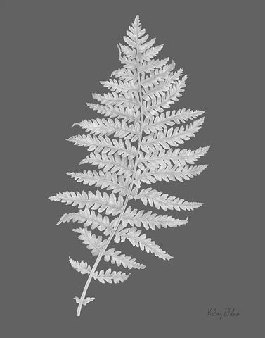 Neutral Fern on grey II Black Ornate Wood Framed Art Print with Double Matting by Wilson, Kelsey