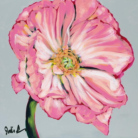 Fresh Poppy I White Modern Wood Framed Art Print with Double Matting by Augustine, Jodi