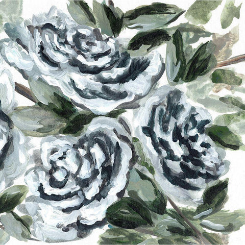 Shadowed Blue Roses II Black Modern Wood Framed Art Print by Chapman, Marcy