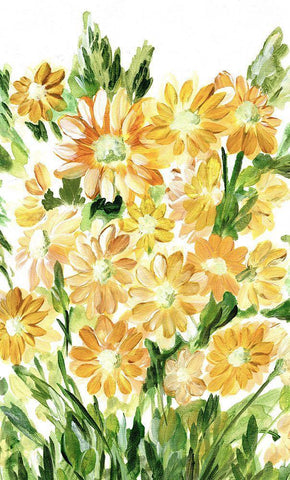 Daisies in Yellow Black Ornate Wood Framed Art Print with Double Matting by Chapman, Marcy
