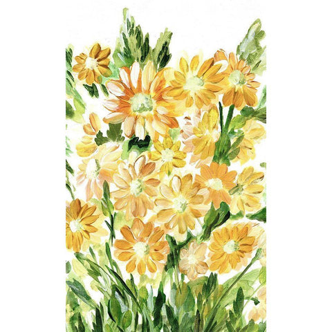 Daisies in Yellow White Modern Wood Framed Art Print by Chapman, Marcy