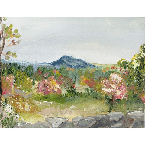 Monadnock Mountain White Modern Wood Framed Art Print by Chapman, Marcy