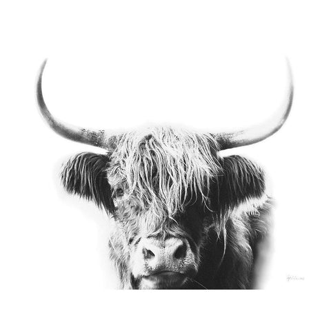 My Highland I Black Modern Wood Framed Art Print with Double Matting by Cusson, Marie Elaine