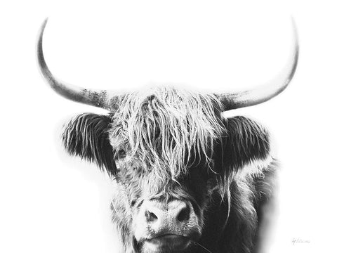 My Highland I White Modern Wood Framed Art Print with Double Matting by Cusson, Marie Elaine