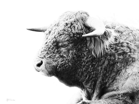 My Highland II White Modern Wood Framed Art Print with Double Matting by Cusson, Marie Elaine