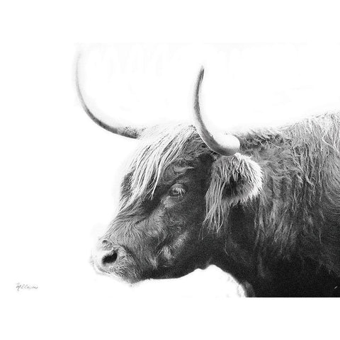 My Highland III Black Modern Wood Framed Art Print with Double Matting by Cusson, Marie Elaine