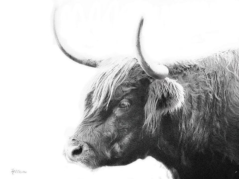 My Highland III White Modern Wood Framed Art Print with Double Matting by Cusson, Marie Elaine