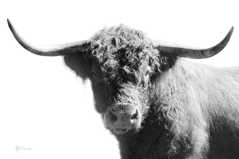 My Highland IV Black Ornate Wood Framed Art Print with Double Matting by Cusson, Marie Elaine