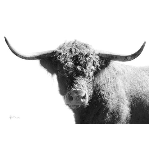 My Highland IV White Modern Wood Framed Art Print by Cusson, Marie Elaine