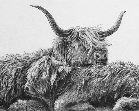 My Highland V Black Ornate Wood Framed Art Print with Double Matting by Cusson, Marie Elaine