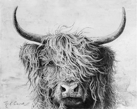 Highland in the Wind I Black Ornate Wood Framed Art Print with Double Matting by Cusson, Marie Elaine