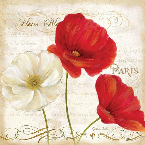 Paris Poppies I Black Modern Wood Framed Art Print with Double Matting by Coulter, Cynthia