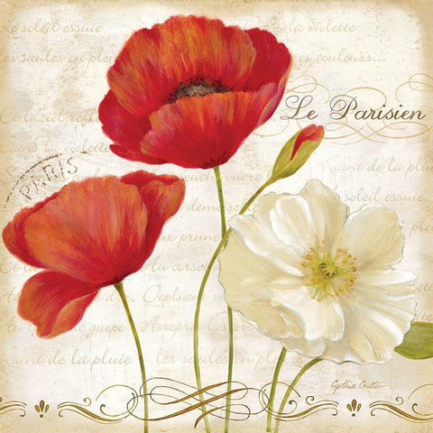 Paris Poppies II White Modern Wood Framed Art Print by Coulter, Cynthia