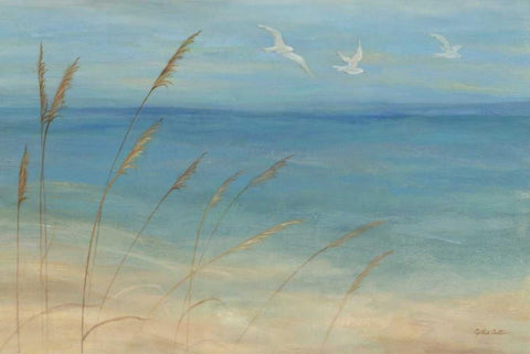 Seagrass Seagulls White Modern Wood Framed Art Print with Double Matting by Coulter, Cynthia