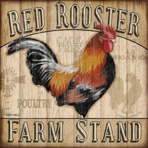 Country Rooster I White Modern Wood Framed Art Print with Double Matting by Killeen, Jen