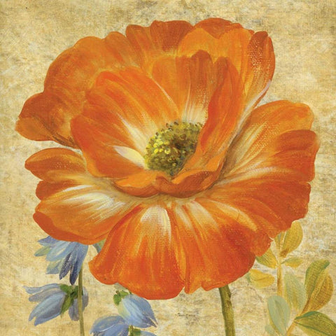 Primavera II Black Ornate Wood Framed Art Print with Double Matting by Gladding, Pamela
