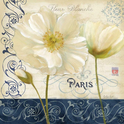 Paris Poppies Blue Trim I White Modern Wood Framed Art Print with Double Matting by Coulter, Cynthia